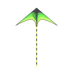 kite, outdoor toy, large kite, delta kite, flying toy