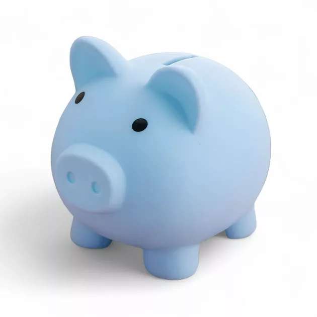 piggy bank, money saving box, money storage box