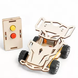 remote control car, rc car, car toy, wooden car, wooden car toy, stem toy